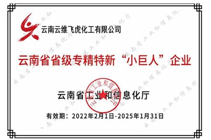 曲煤焦化云维飞虎公司获省级专精特新“小巨人”企业授牌